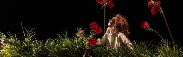 Predstava  Alisini snovi  u Pozorištu za decu i mlade