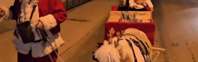 Ćerka Džeja Ramadanovskog sa bebom u kočijama: Prolaznici gledali pravu bajku, njih dve uživale u trenutku