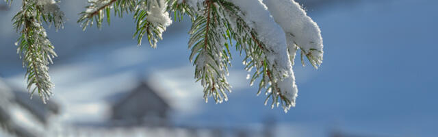 Снег прекрио Медведницу, a на Завижану најхладније