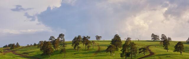 Još samo 7 dana za prijavljivanje: Država daje 2,9 miliona dinara po projektu - ovo su uslovi