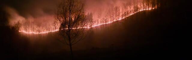 Šumski požari bukte kod Bijelog Polja, bili ugroženi i objekti: Vatrogascima posao otežao jak vetar