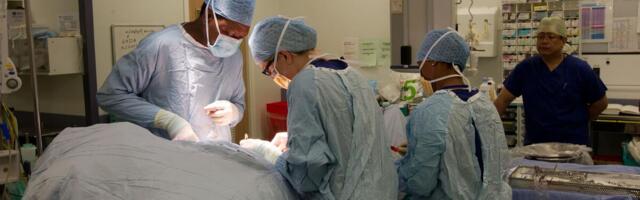 Mladi u Srbiji se masovno javljaju, mozak ne može da izdrži! Sve dolazi na naplatu, oglasio se lekar sa VMA