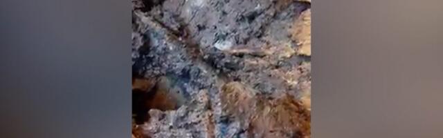 Energetski sistem Srbije u „živom blatu“, šta se spaljuje u kotlovima TENT-a?