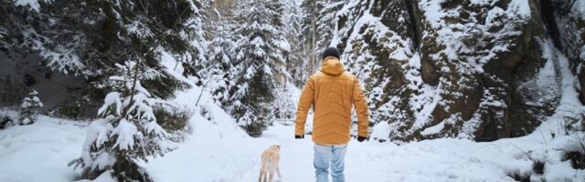 Evo zbog čega treba da napravite 10.000 koraka svaki dan