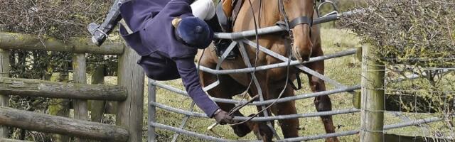 Devojčica (12) pala s konja, hitno prevezena u Tiršovu