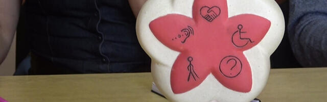 Raspisan konkurs za Cvet jednakosti