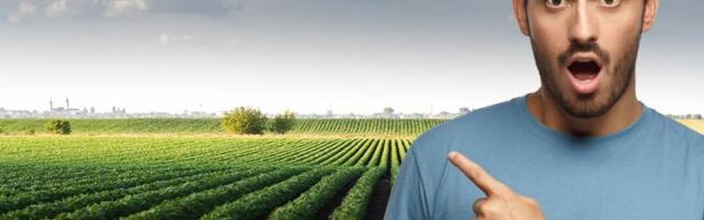 Svi se grabe za zemljište: Najskuplji hektar prodat za vrtoglavu cifru i to u ovom gradu - Nije Beograd