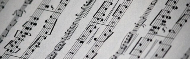 Концерт Бојане Шеровић