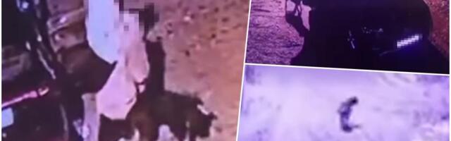 SKANDAL USRED BEOGRADA KOJI JE ZGROZIO SVET! Žena iz Beča izbacila psa iz automobila i OSTAVILA ga na pustom putu: Reakcija ljubimca SLAMA srca! (VIDEO)