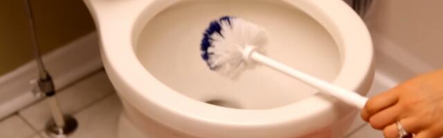 NAJJEDNOSTAVNIJI NAČIN ČIŠĆENJA ČETKE ZA WC ŠOLJU: Samo POPRSKAJTE OVIM sastojkom i ostavite je tako deset minuta!