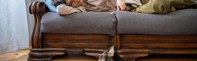 DA LI JE I ONA DOBILA VIRUS? Mačka izgleda bolesno baš kad ste i vi prehlađeni - VETERINAR UPOZORAVA, SIMPTOMI SU..