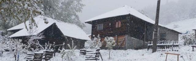 Sede zajedno i ne odvajaju se! Snimak iz zavejanog srpskog sela oduševio sve: "Dušice medene"