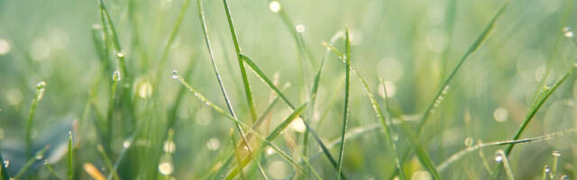 Posle sunčanog jutra stiže zahlađenje: Danas se u ovim krajevima očekuje kiša