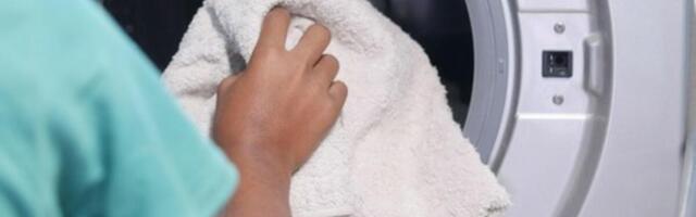 Evo koja temperatura za pranje veša uništava grinje! Ljudi masovno greše, ovako podesite mašinu, sve će uništiti