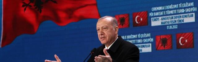 D. Tanasković: Erdoganova spoljna politika ili jedan pravac, više smerova