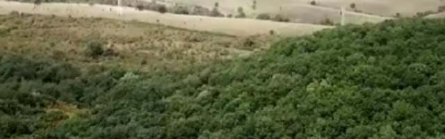 Grof Drakula je jedini mogao da se šeta ukletom šumom (VIDEO)