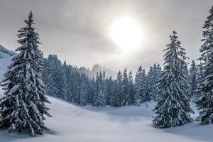 Облачно и суво, на планинама снег - температура до 12 степени