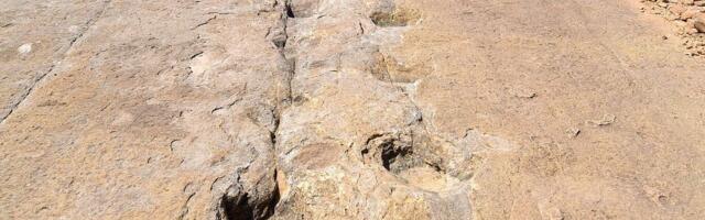 Lokacija sa više od 16.000 tragova koje su ostavili dinosaurusi otkrivena u Boliviji