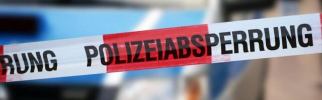 SRBIN OSUĐEN NA DOŽIVOTNU KAZNU ZATVORA ZBOG UBISTVA ČUVENOG DIZAJNERA "ROLS-ROJSA"! Došao iz Srbije, počinio stravično ubistvo i pobegao u Francusku!