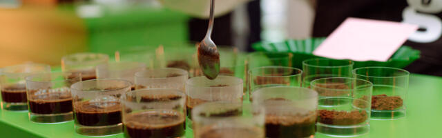 Harmonija iza savršenog ukusa omiljene kafe – šta je zapravo cupping?