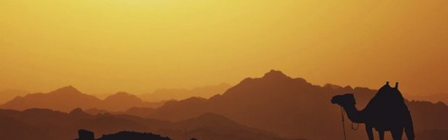 KAMILE OTERALE PORODICU U PROVALIJU U AUSTRALIJI! Spas je došao tek kada je stigla intervencija iz Amerike! (VIDEO)