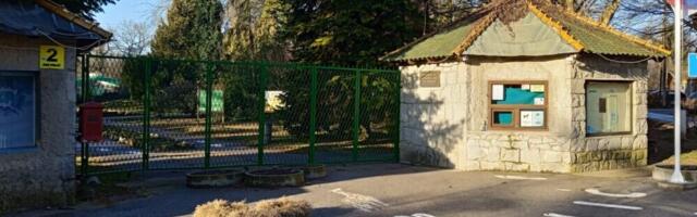 „Uginuli tigrovi, leopardi, medvedi“: Deo zaposlenih u ZOO-vrtu „Palić“ izneo optužbe, šta kažu uprava i veterinar?