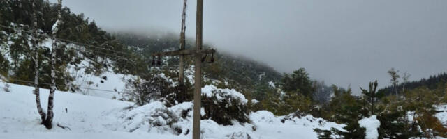 ZATVARAJU SE ŠKOLE, LJUDI SPREMAJU ZALIHE U Evropi je OPŠTA PANIKA zbog hladnoće koja stiže u Srbiju
