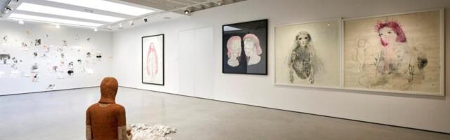 Promišljanja o predrasudama vezanim za ženske genitalne organe: Izložba „Hormonologija. Želja, nagon, potreba.” u SKC-u Kragujevac