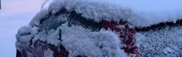 Олујни ветар у Истри обарао стабла на саобраћајнице