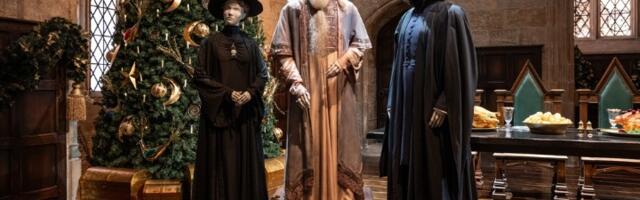 Zvezde „Harija Potera“ koje su zauvek napustile scenu: Nasleđe koje magija ne briše