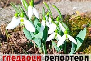 Гледаоци репортери (23. јануар 2023)