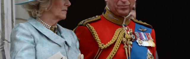 Dok čeka krunu, princ Čarls počeo da se bavi OVOM profesijom (VIDEO)