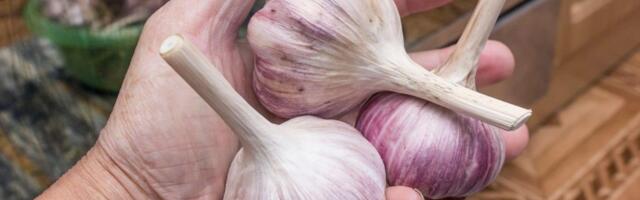 Probajte genijalni trik: Kad sledeći put budete ljuštili beli luk, primenite ovaj korak i rešite se neprijatnog mirisa