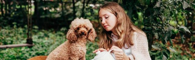 4 stvari u kući koje su otrovne za vaše ljubimce