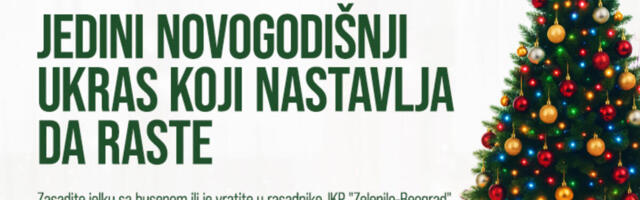 JEDINI NOVOGODIŠNJI UKRAS KOJI NASTAVLJA DA RASTE