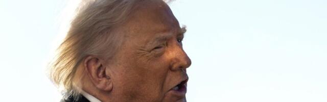 Tramp u životnoj opasnosti?! Suzi Vajls hitno postrojava Tajnu službu: Pucnjava digla Belu kuću na noge