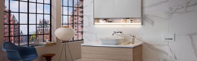 Kako odabrati adekvatnu WC šolju