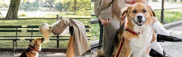 Vlasnici pasa kao roditelji: Zašto ljubimci postaju „zamena za decu“?