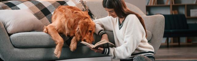 Kućni ljubimac kao terapeut: kako nas životinje uče da lečimo sebe