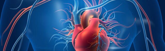 Za ovu bolest nema leka: Nova metoda otkriva rizik od opasnog i čestog srčanog oboljenja