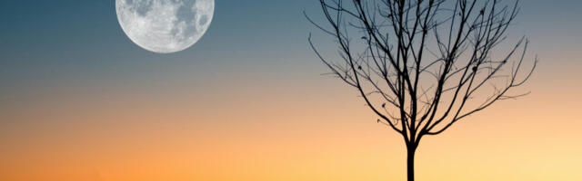 Rezervišite na vreme sobu na Mesecu: Hotel ima samo jednu zvezdicu, ali su cene galaktičke