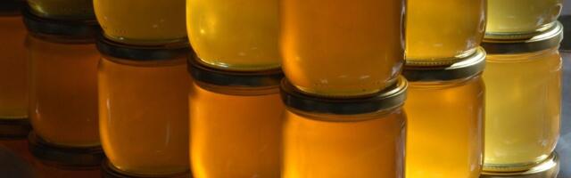 Domaći pčelari odustaju od proizvodnje meda zbog uvezenih falsifikata