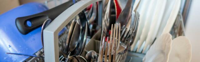 SRBI I OVO POGREŠNO KORISTE! Znate li čemu zapravo služi donja korpa mašine za pranje sudova?