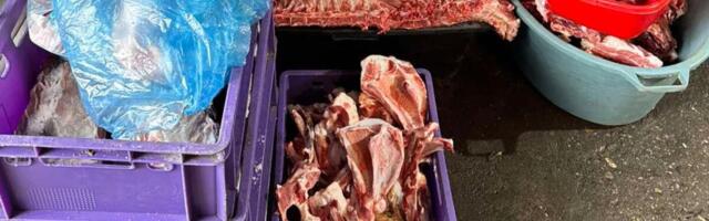 (FOTO SA LICA MESTA) JEZIVO OTKRIĆE U SUBOTICI! Policija upala u ILEGALNU KLANICU: Pronađene čak 2 tone mesa!