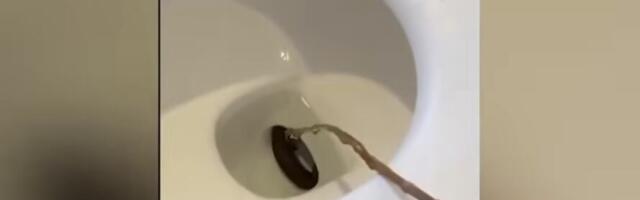 Ovo je prava noćna mora: Kad je video šta su izvukli iz WC šolje, gost hotela doslovno zanemeo (video)