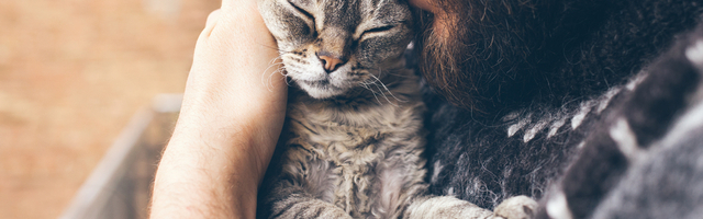 “VIRUS PRELAZI SA ČOVEKA” Ovari: Vodite računa o ljubimcima