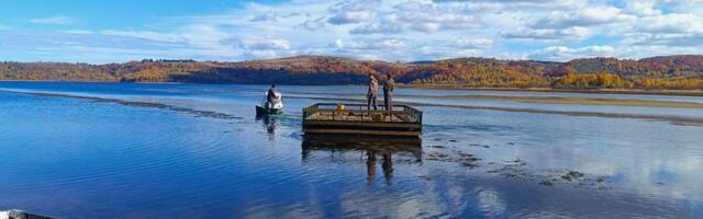 Na Vlasinskom jezeru postavljen splav za gnežđenje čigri