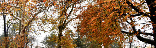 Данас облачно и хладно, местимично са суснежицом и снегом, понегде с кишом