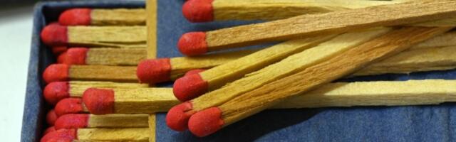 Genijalan trik sa šibicama spasiće vašu BILJKU koja VENE