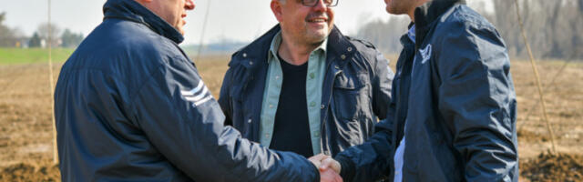 ​Обала Саве: У Сремској Митровици биће засађено 3.500 садница тополе